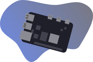 Raspberry Icon